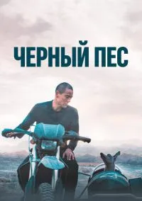 Чёрный пёс (фильм, 2024) смотреть онлайн на Лордфильм